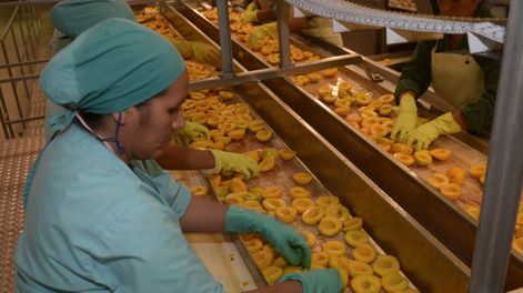 La iniciativa busca además fomentar el agregado de valor en origen y la innovación de la industria alimentaria e incentivar el desarrollo y crecimiento de las exportaciones de alimentos transformados y listos para consumo.