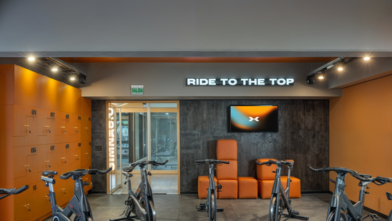 revolucionario gimnasio en el corazon de un iconico hotel