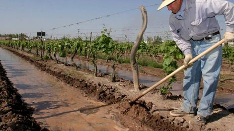 Los Andes | Los productores e industriales mendocinos cuentan con una herramienta para consultar diversos datos de la agricultura mendocina. Foto: Prensa Gobierno de Mendoza