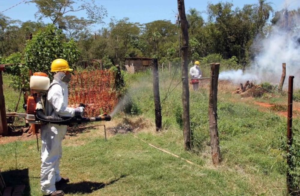 Ya son 27 los muertos por dengue en el país y en Mendoza no hay registro de casos autóctonos ni una muertes en 20 años/ Foto: Prensa Gobierno de Mendoza.