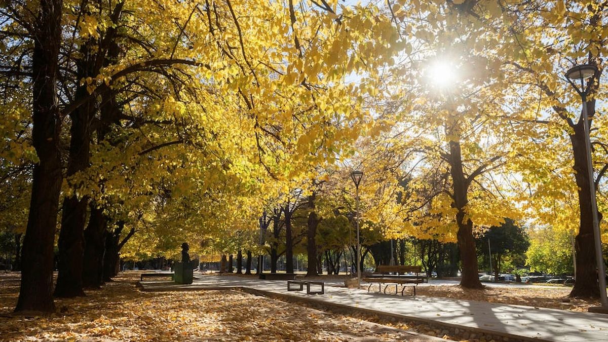 Sábado con buen tiempo y ascenso de la temperatura en Mendoza: de cuánto será la máxima
