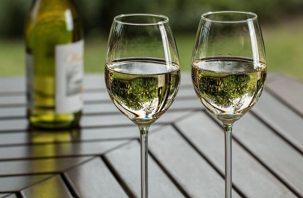 Esta semana celebramos al Chardonnay con increíbles descuentos