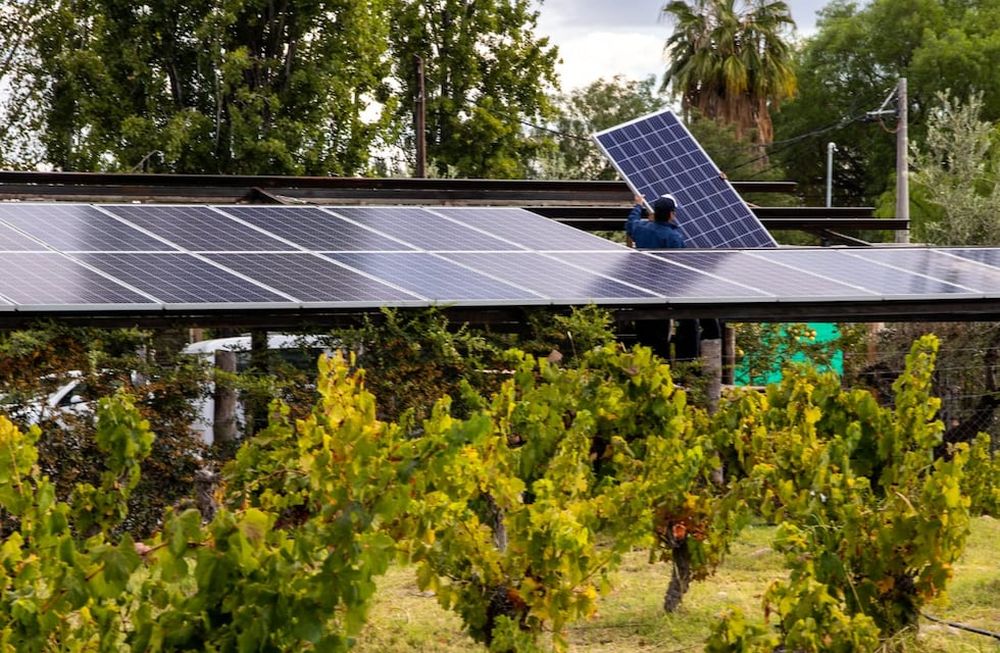 Este miércoles darán una capacitación gratuita sobre eficiencia energética e innovación en la vitivinicultura. Foto: Gentileza