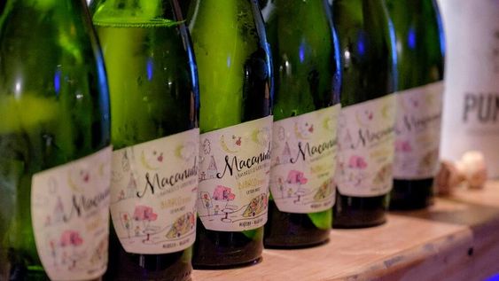 Este fin de año brindá con Macanudo, de Bodega Pumalek