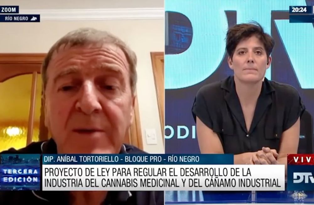 Diputados debatieron sobre la ley de regulación de cannabis medicinal.
