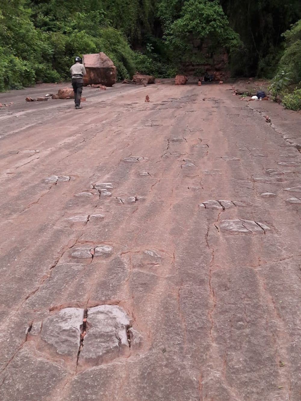 Rastros reveladores. López Isla realizando fotografías de las huellas. Se observan múltiples rastrilladas de dinosaurios, posiblemente grandes herbívoros