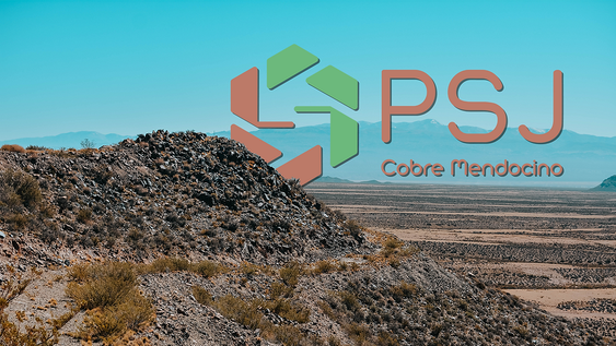 PSJ Cobre Mendocino