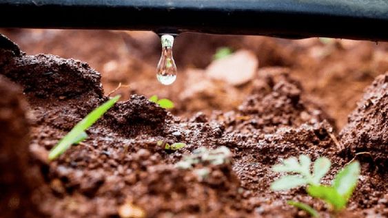 La agricultura en Mendoza utiliza aproximadamente el 75% del agua disponible  y apenas el 20% de las hectáreas cultivadas se riegan con algún sistema presurizado.