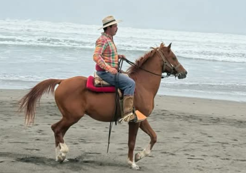 Elio amansa caballos salvajes. Vive por ellos desde niño.