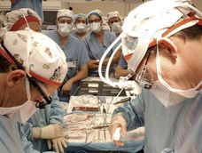 Mendoza ocupa el cuarto lugar en cantidad de donantes de órganos del país Mendoza ocupa el cuarto lugar en cantidad de donantes de órganos del país