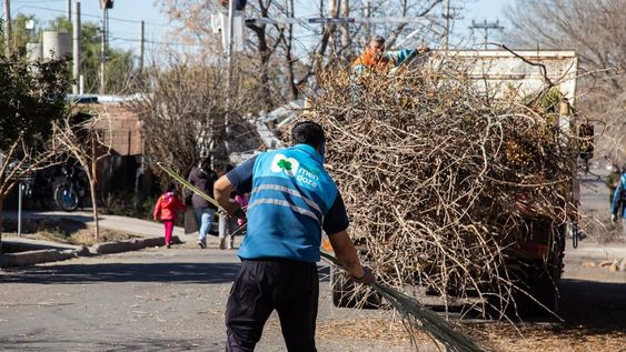 Se inicia una nueva semana de trabajos en arbolado y bacheo de arterias
