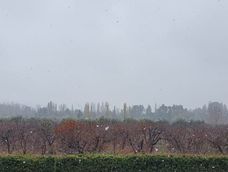 Anticipan un domingo frío y con alerta por nevadas en Mendoza&nbsp;