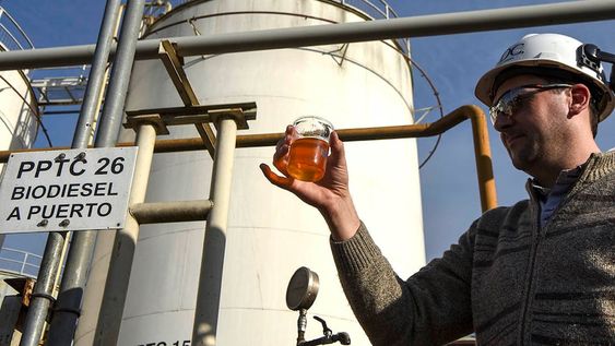 La Cámara de Biocombustible reclama que el corte de biodiesel aumente al 15%.