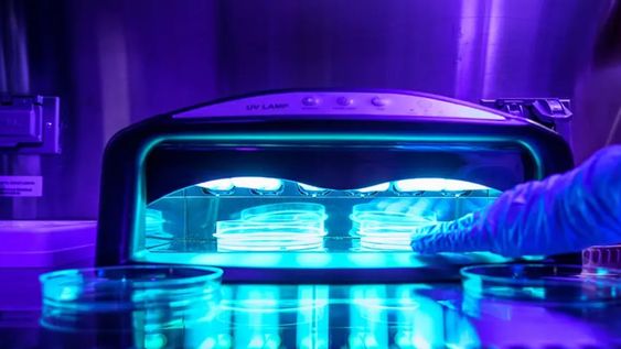 Las camas de bronceado están catalogadas como cancerígenas. Las lámparas UV para uñas son como mini camas de bronceado cuyo fin es el de endurecer las uñas de gel. Foto: David Baillot / Escuela de Ingeniería Jacobs de UC San Diego.