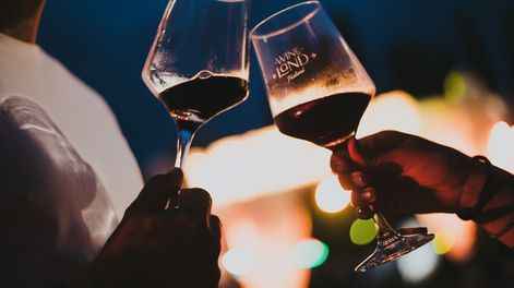 Se viene Wineland Festival 2025 en el Bosco: cuándo es y cómo comprar las entradas