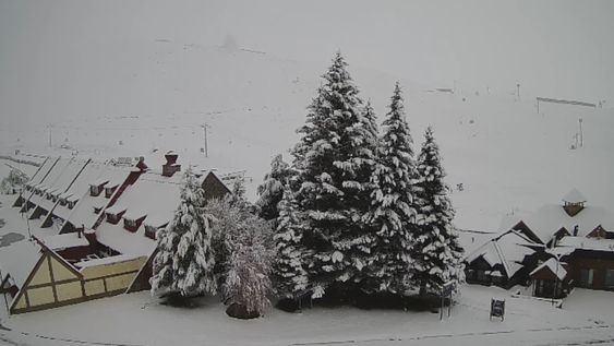 sorpresiva nevada temprana cubrio de blanco las lenas y hay expectativa para la temporada