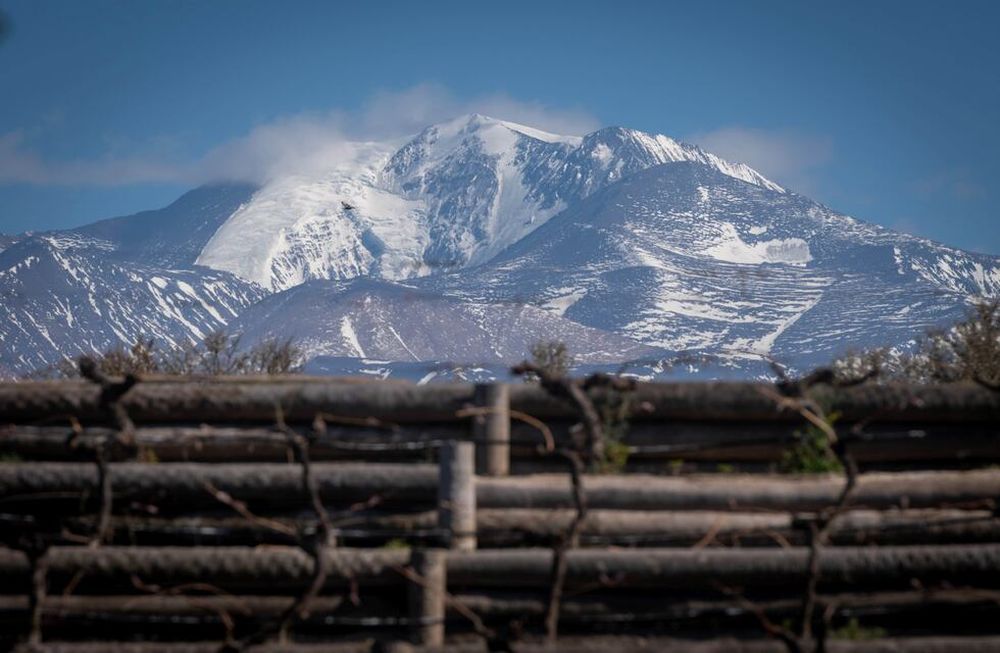Bodega Atamisque y su nuevo lanzamiento para Argentina: Serbal Petit Verdot 2020