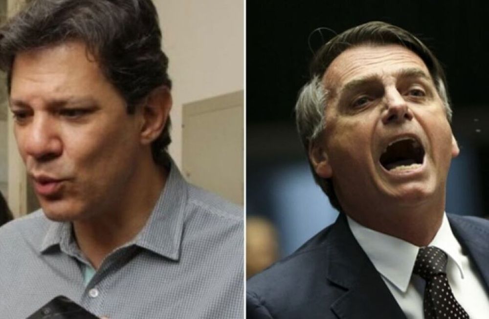Brasil: Haddad desafía a Bolsonaro mientras busca apoyo de otras fuerzas políticas