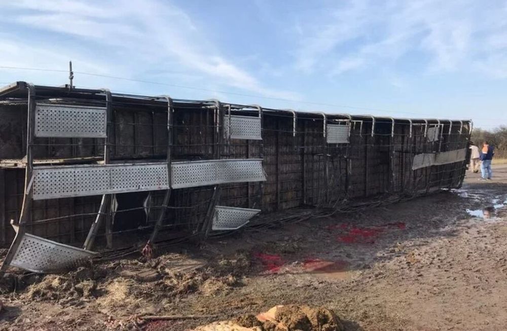 El hecho que se repite cada vez más, sucedió a la altura de la localidad de Calchaquí, donde el vehículo derrapó en la banquina. En otro accidente vial en Misiones, robaron cerveza.