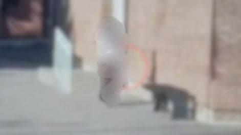 La alumna que ingresó armada a una escuela de La Paz recibió el alta y definen cómo continúa con sus estudios