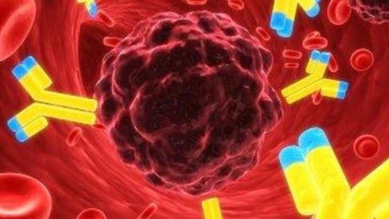 4 de setiembre: Día Mundial de la Leucemia