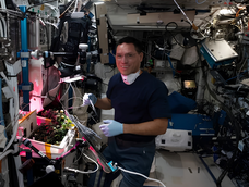 El resultado inesperado de las semillas de tomate que cultivó la NASA en el espacio.