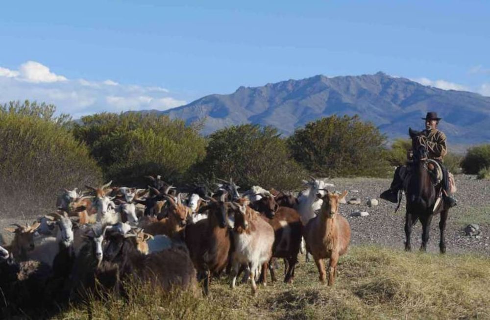 Puesto Perino, comunidad Lof Malal Pincheira, una de las tantas comunidades autopercibidas Mapuche en el extenso territorio de Malargüe.  Foto: Claudio Gutiérrez  Los Andes
