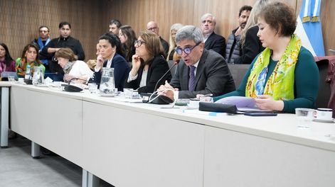 Crisis del fentanilo contaminado: diputados aprobó un pedido de informes al Gobierno por los muertos.