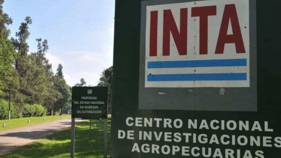 roberto pizzolatto, del inta, en aconcagua radio: los productores ya sienten el impacto