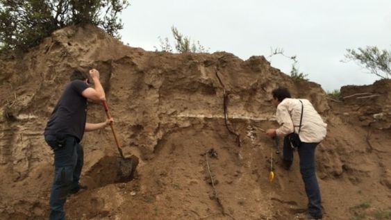 Los datos surgen de una investigación que busca comprender la historia ambiental del noroeste de Mendoza en los últimos 100 mil años.
