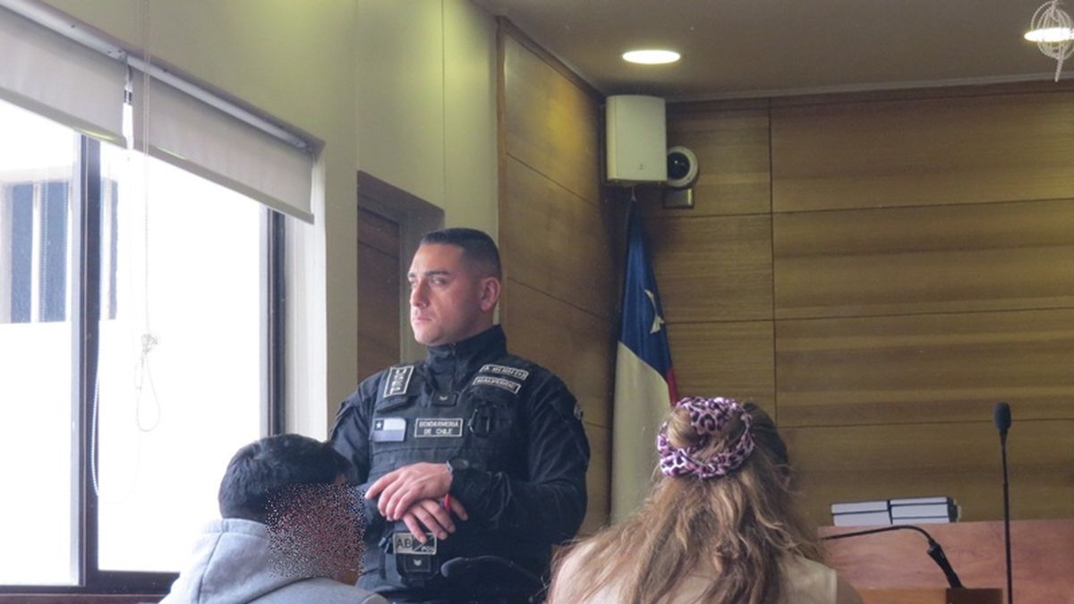 Camionero mendocino detenido en Chile: quiso contrabandear fuegos artificiales, anabólicos y repuestos