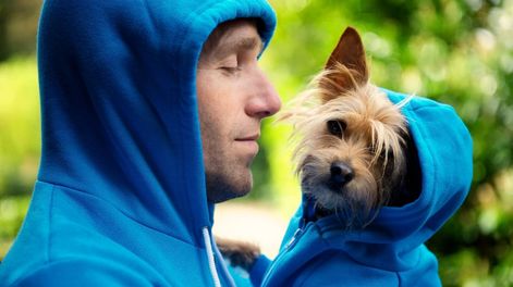 Los Andes | De esta manera podrás hacer una tierna ropita para tus mascotas.