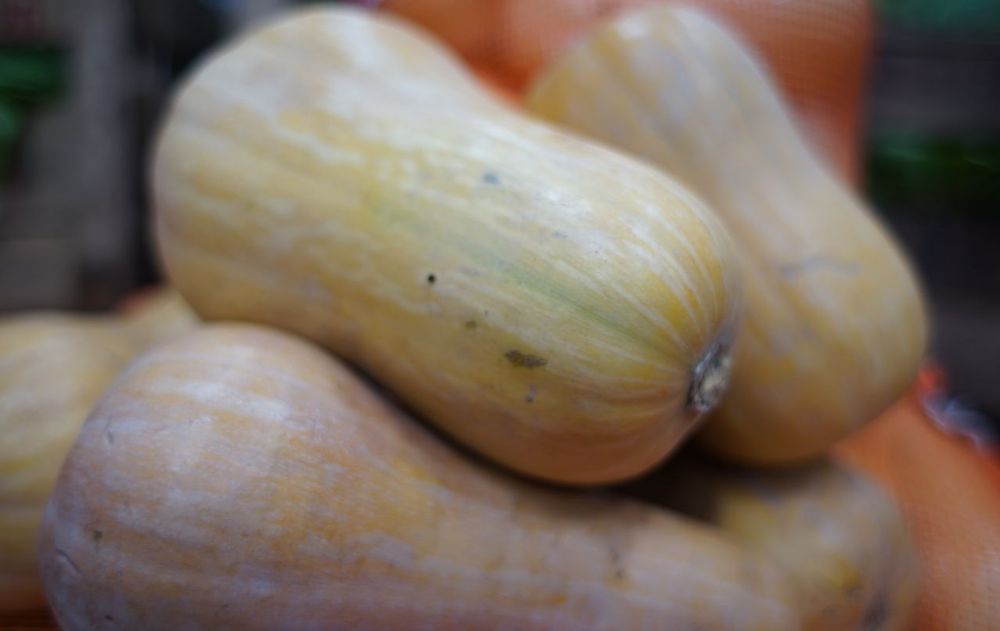 Esta cáscara puede transformarse en un abono suave que sostiene el desarrollo de las plantas a largo plazo.