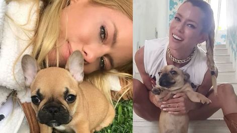 Nicole Neumann y el dolor por haber perdido a su mascota