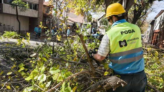 La Ciudad te informa el nuevo itinerario semanal de bacheo, poda y limpieza