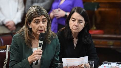 La senadora nacional de la UCR por Mendoza, Mariana Juri