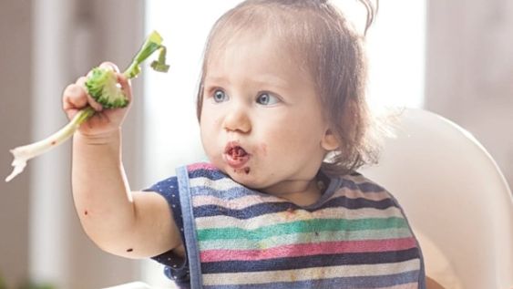 Bebés: ¿qué alimentos se pueden dar y cómo ofrecerlos?