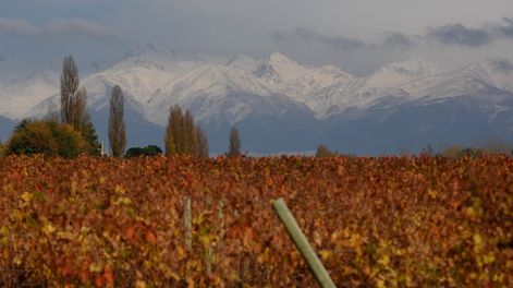 Una canción de todos - Por Jorge Sosa