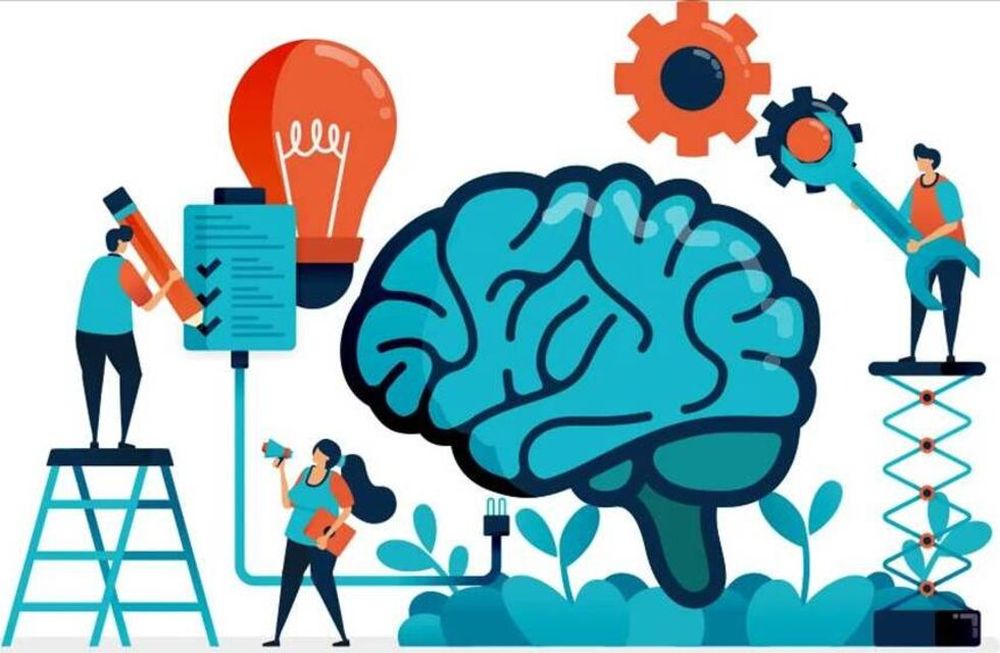 Salud mental en las instituciones educativas, en el Ciclo de Encuentros Virtuales de MELE 2022