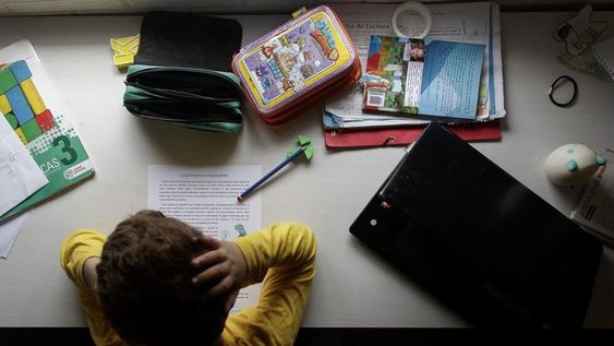 Zamarbide propone liberar datos de estudiantes para acceder a contenidos educativos online