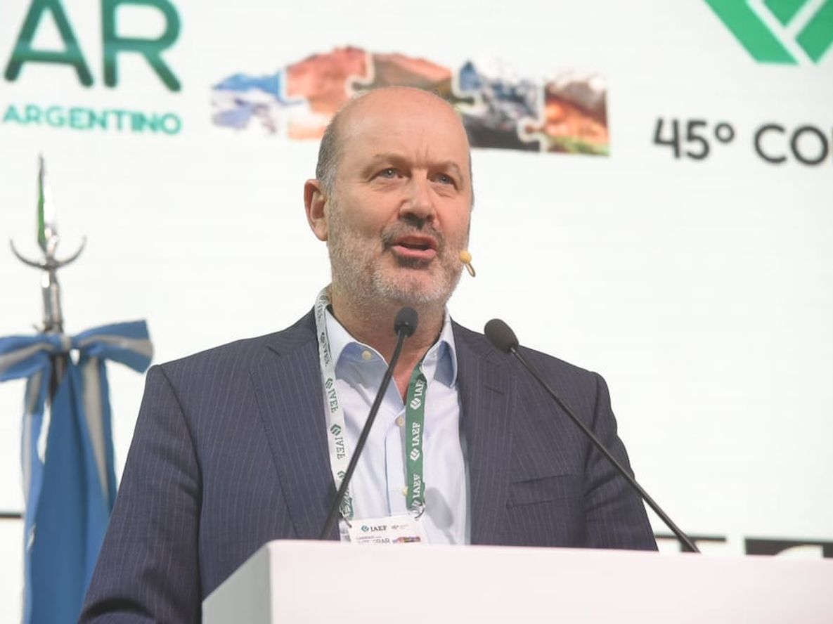 Federico Sturzenegger, ministro de Desregulación y Transformación del Estado. Foto: Gentileza