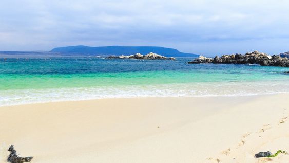 Con arena blanca y agua turquesa: Bahía Inglesa, una opción caribeña y tranquila en el norte chico de Chile
