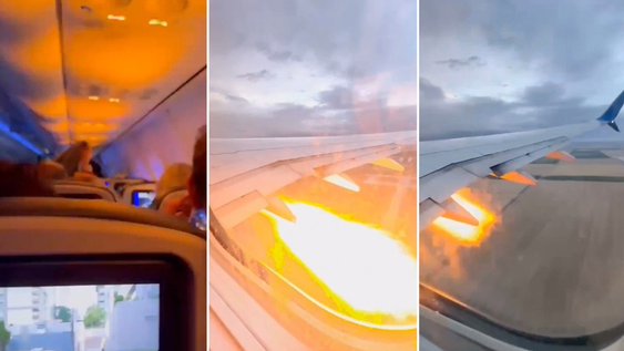 Un conejo fue succionado por un motor y generó un incendio durante un vuelo.