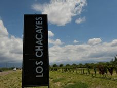 Los Chacayes se destaca por su terroir único en el Valle de Uco y sus vinos de carácter distintivo.