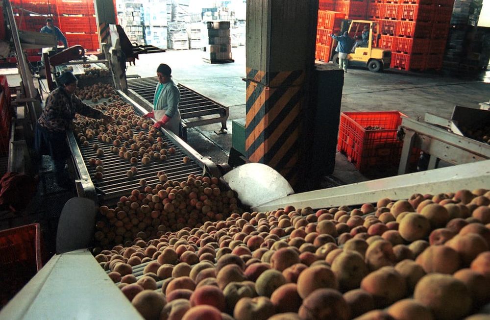 Desde el agro afirman que la medida solo apunta a engrosar las reservas y no se centra en favorecer al sector productivo.