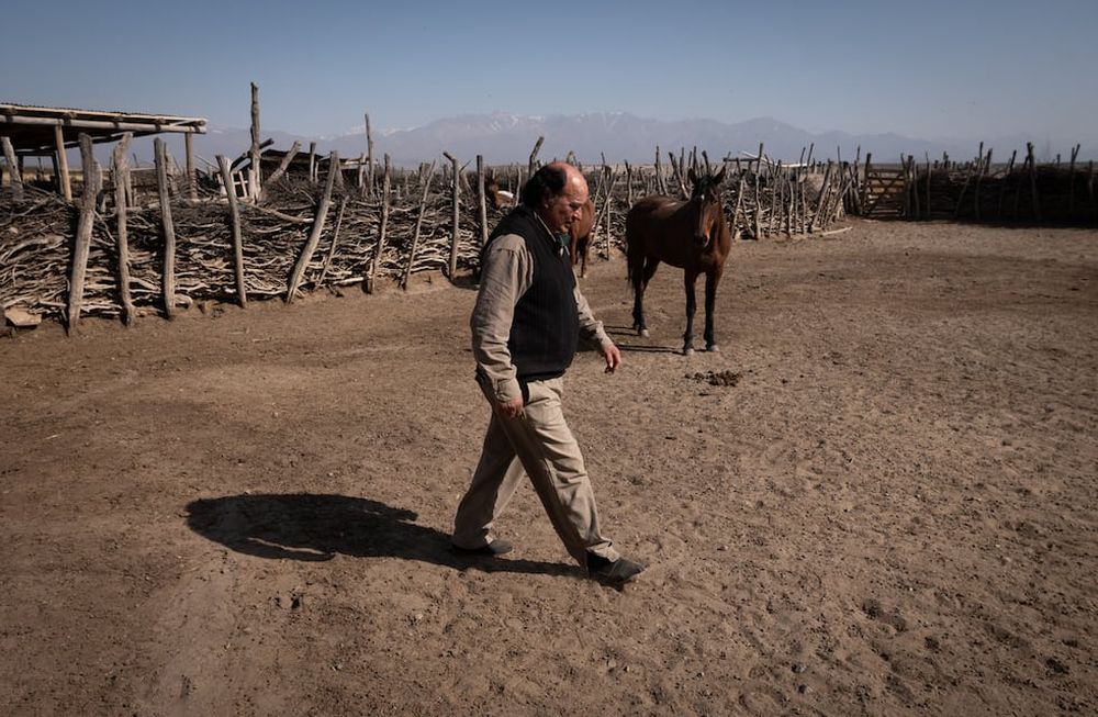 Ricardo Enrique Luffi vive hace casi 60 años en el puesto la Lagunita, en San Carlos, y  con su esposa se dedican a la cría de ganado - Foto: Ignacio Blanco / Los Andes