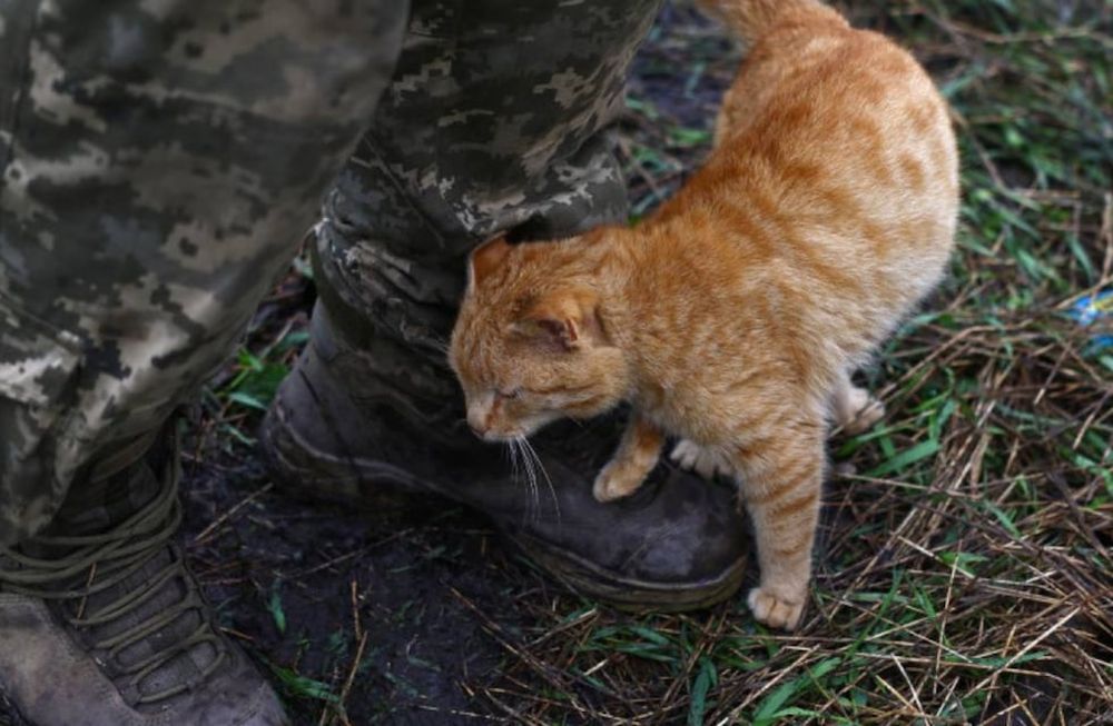 La categoría infantil de la competencia fue cancelada luego de que sectores denunciaran que los niños podían confundirse y matar mascotas. Foto: Reuters