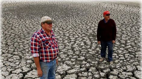 Aliados de la desertificación: sequía, deforestación y el ser humano