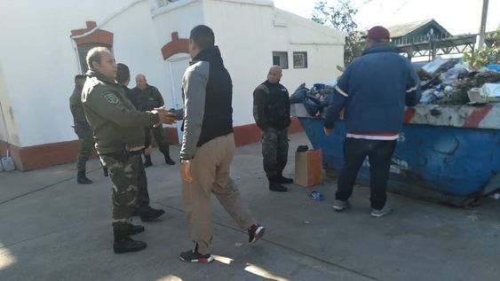 Los animales, llegaron a la estación de Remedios de Escalada en Buenos Aires, en una caja de cartón. La mujer reveló, -según informó TN- que los vendían a $60.000.