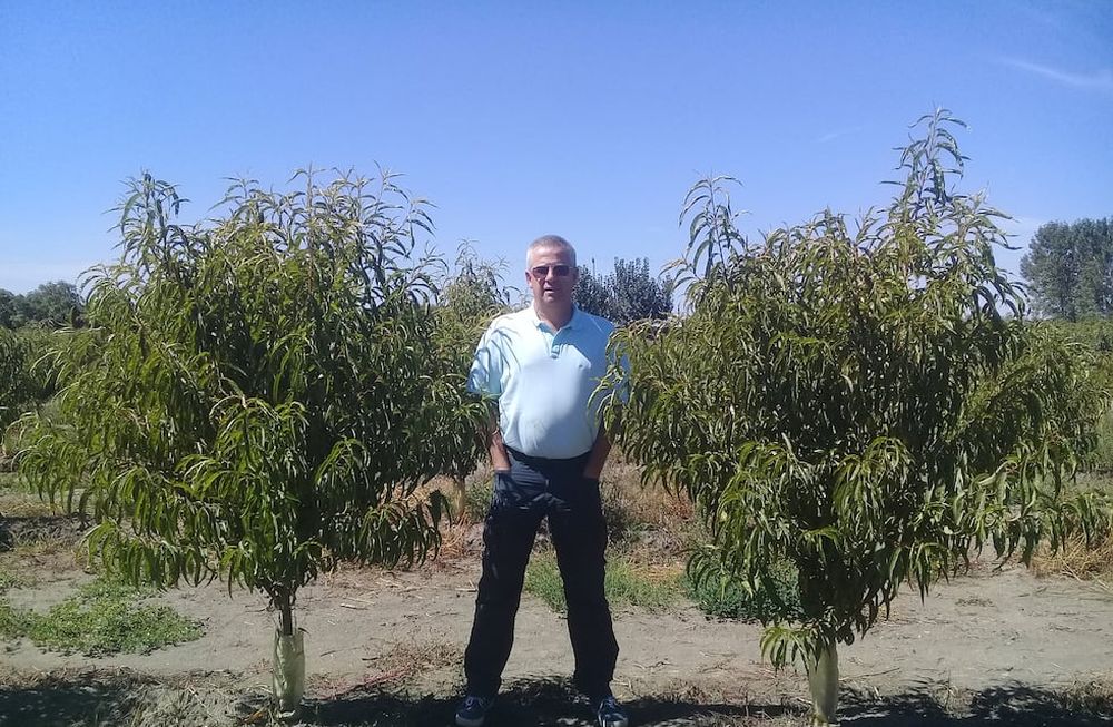 El especialista en fruticultura, Alain Boulet, comparte el trabajo que realizan desde la Asociación para la Innovación Agrícola (AIA).